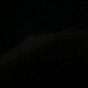 Meet your Posher, Logan